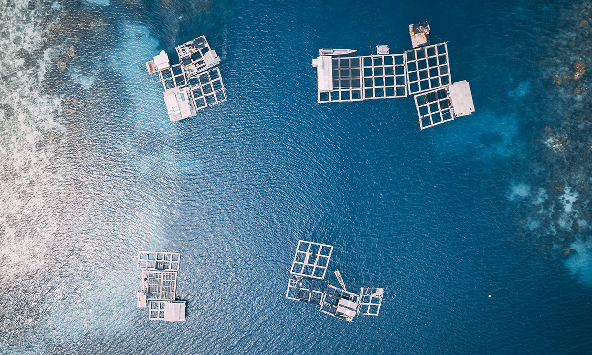 A diver inspects a metal structure on seafloor