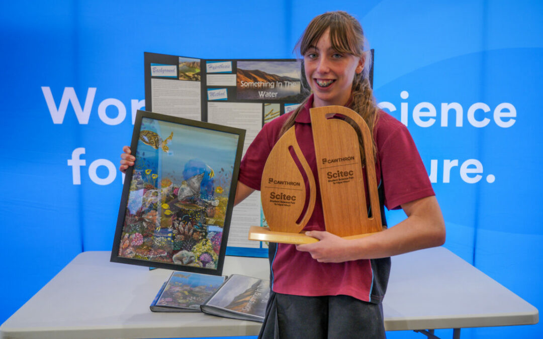 Nayland student excels at Scitec Expo