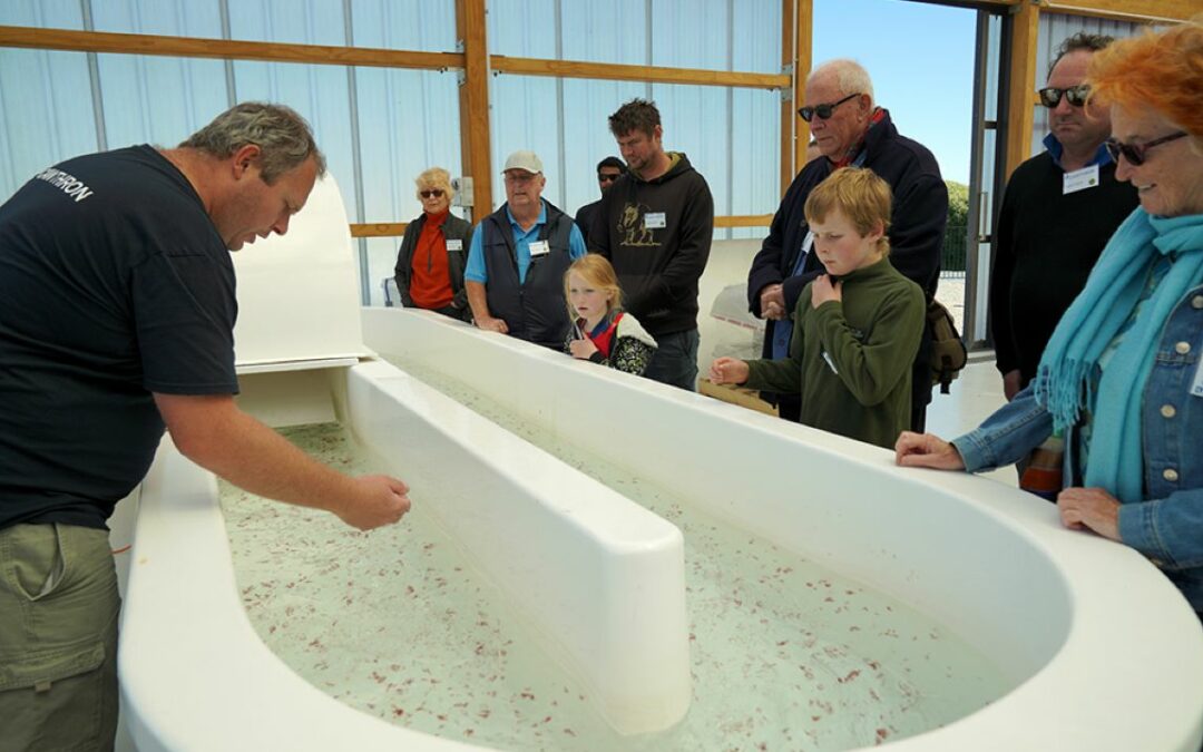 Aquaculture Park Open Day Success