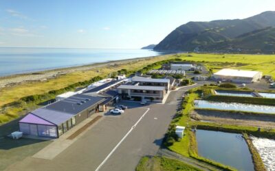 Opinion: Dr Cath McLeod – New Westpac report highlights huge potential of Aotearoa New Zealand’s blue economy