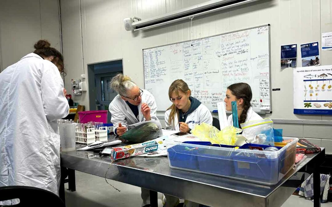 Year 13 students value mussel workshops at Cawthron Aquaculture Park  