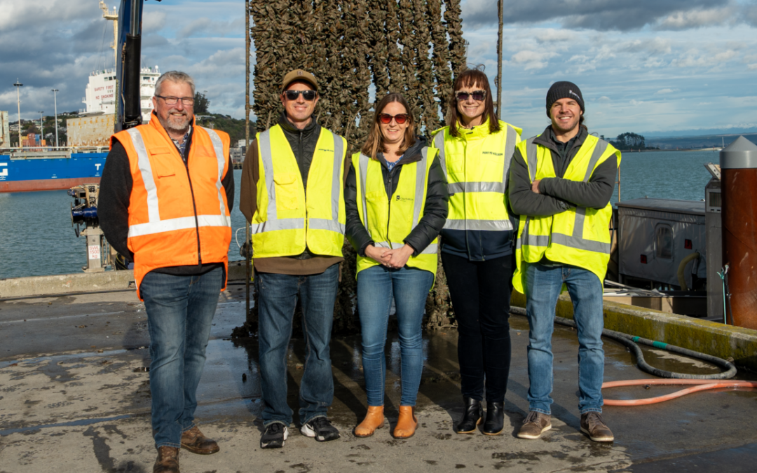 Scientists studying filtering ability of mussels for natural water quality solution