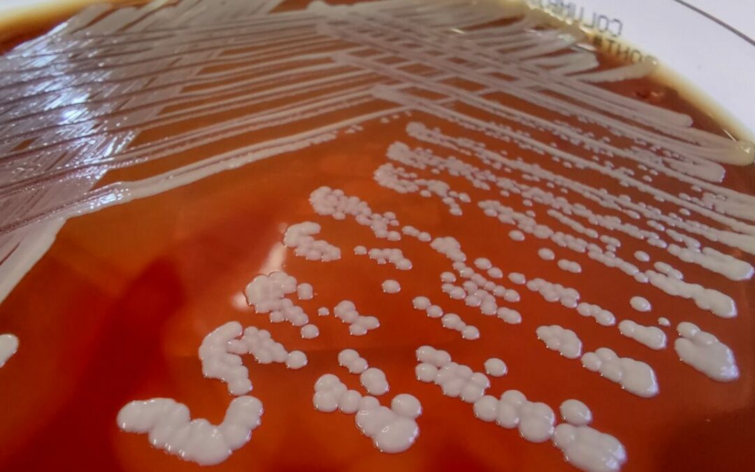 Case Study: Challenge testing a new product for Kraft-Heinz