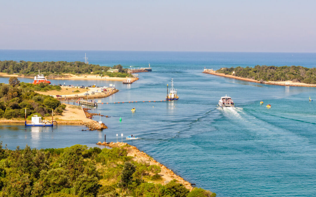 Toxicological studies of nodularin to underpin risk management of seafood in Gippsland Lakes