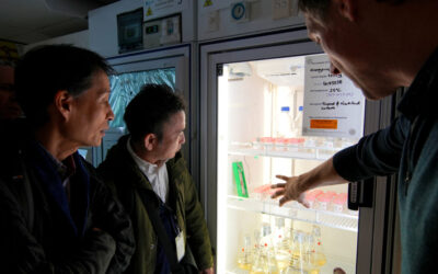 Cawthron Brings International Experts Together in Whakatū/Nelson to Tackle Ciguatera Poisoning in the Pacific