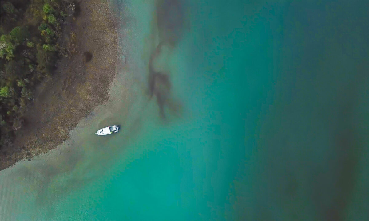Aerial view of the Cawthron Aquaculture Park