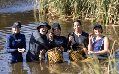 New research urges major policy reset for moving native freshwater species in Aotearoa