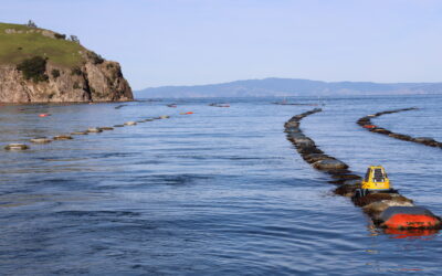 Cawthron commercial spin-out Ocean Intelligence named 2025 KiwiNet Awards finalist