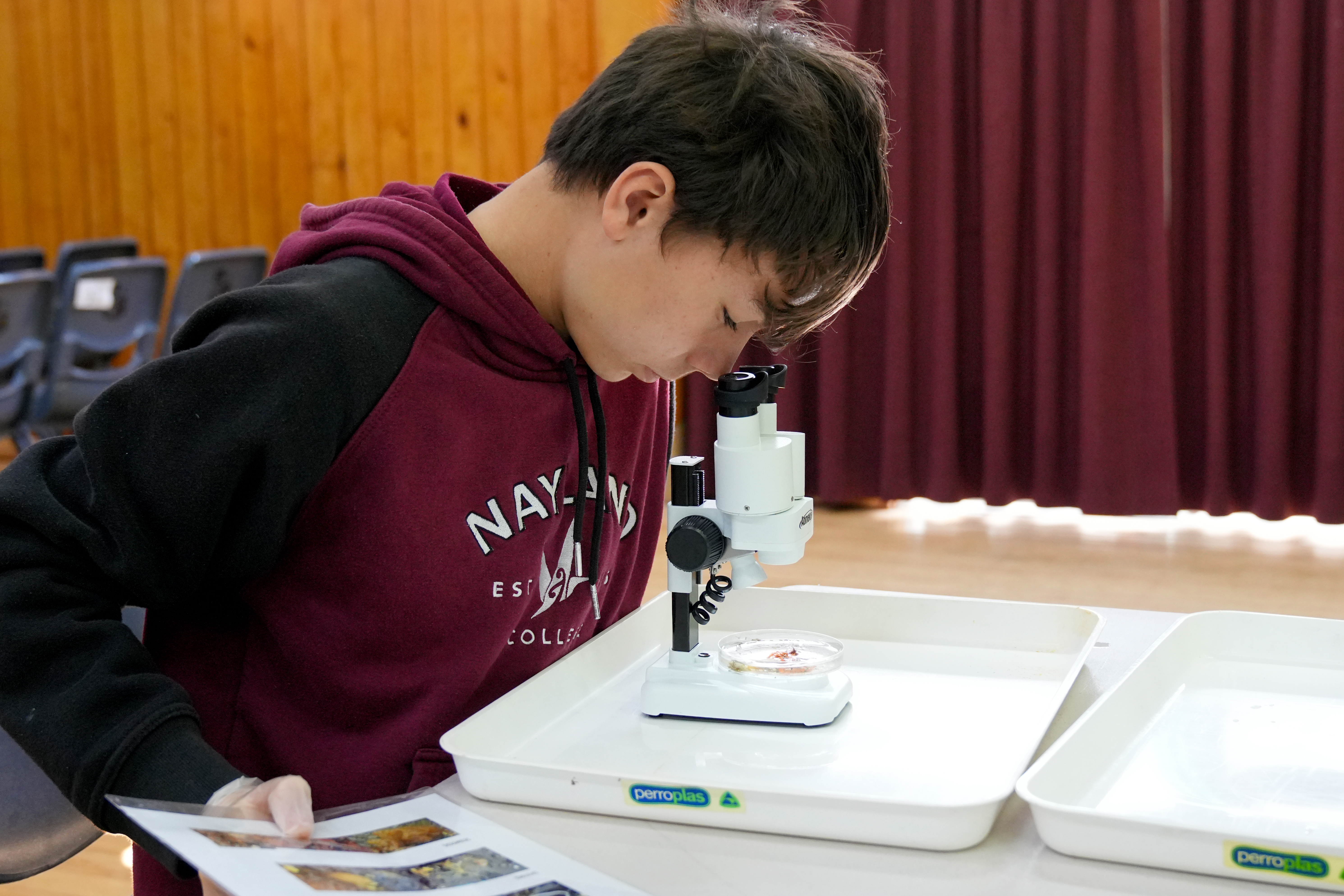 Laura Biessy in the laboratory at Cawthron Institute