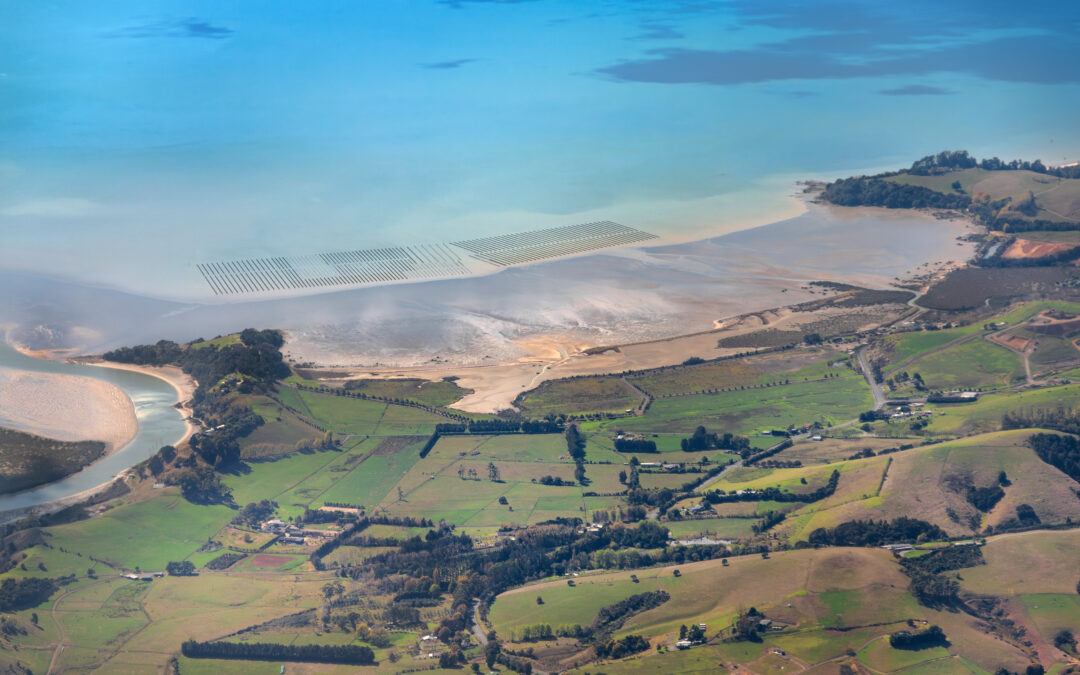 Case Study: Strengthening Aotearoa New Zealand’s shellfish industries through selective breeding