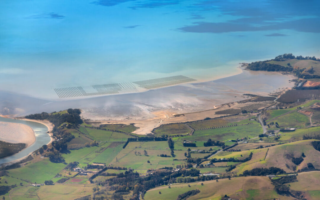 Case Study: Strengthening Aotearoa New Zealand’s shellfish industries through selective breeding