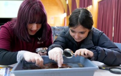 Nayland College students become marine biosecurity detectives
