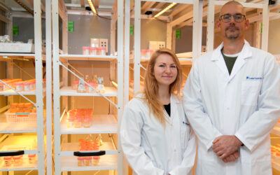 Cawthron scientists join global search for next-generation skincare ingredients