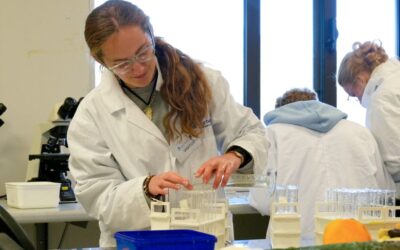 Mussel biology programme celebrates 15 years of inspiring Te Tauihu young scientists